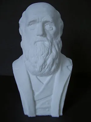 Charles Darwin Bust 21cm Handmade In England • £29