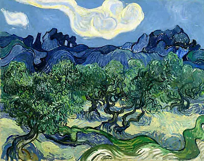 Olive Trees With The Alpilles In The Background By Vincent Van Gogh Art Print • $11.95