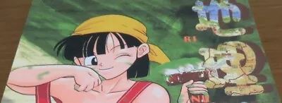 $49.99 • Buy Doujinshi Dragon Ball GOHAN X VIDEL , TRUNKS X PAN (B5 46pages) Fusuma Goten