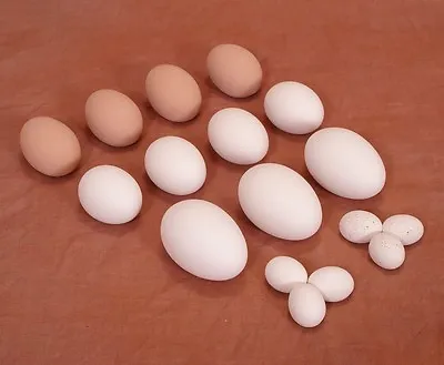 $1.99 • Buy Ceramic Nest Eggs For Hatching, Craft Bird Training Faux Dummy Easter | 3 Sizes