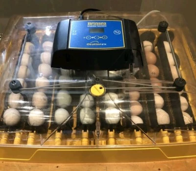£325 • Buy Brinsea Ovation 56 EX Egg Incubator