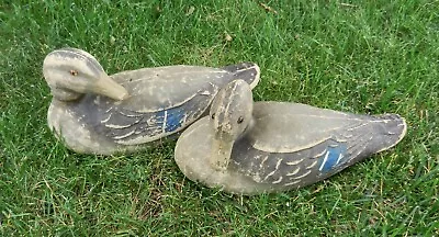 2 Vintage Victor Veri-Lite Duck Decoys Hen Mallards Paper Mache Glass Eyes 1948 • $24.95