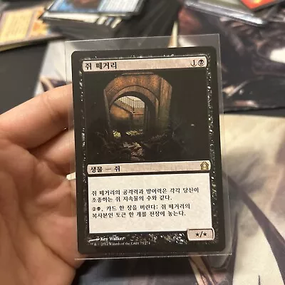 1x Pack Rat Korean Return To Ravnica Rare NM / MINT Magic Card Mtg PGEA • $2.99