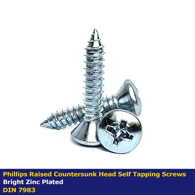 No4 - 2.9mm PHILLIPS RAISED COUNTERSUNK SELF TAPPING SCREWS (AB) ZINC DIN 7983 • £2.49