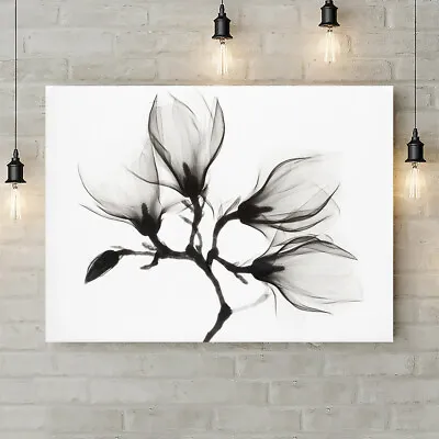 Magnolia Plant With Four Flowers - Canvas Rolled Wall Art Print - Various Sizes • £12.79