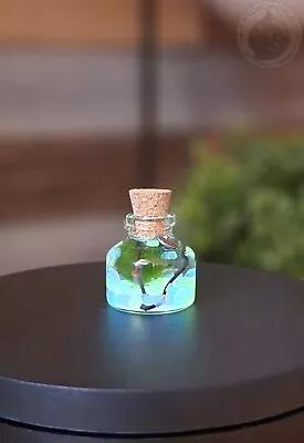 AquaScape GLOW Terrarium Kit With Live Marimo Moss Ball  Desk Decor Gift • $9