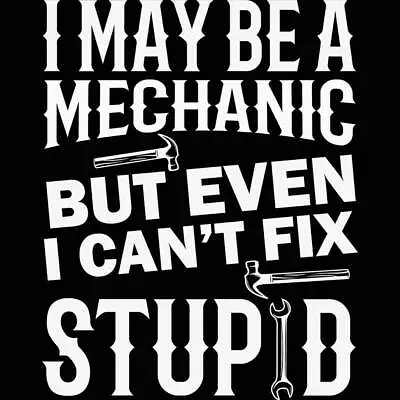 I May Be Mechanic But Even I Cant Fix Stupid Mens Funny T-Shirt T Shirt Tshirts • $22.56