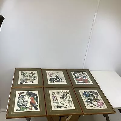 6x Wedgwood Limited Edition Botanical Prints By Marjorie Blamey (A2) S#584 • £29.56