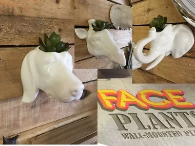 £8.50 • Buy Ceramic Dog Elephant Giraffe Head Indoor Garden Wall Planter Plant Pot 