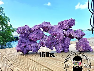 10 Lbs Purple Coraline Dry Reef Base Rock Lightweight Porous Live • $49.99