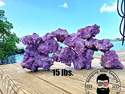 15 Lbs Purple Coraline Sm/Med Dry Reef Base Rock Lightweight Porous Live • $64.99