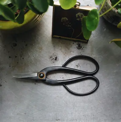 Pruning Scissors Traditional Ashinaga-style Bonsai For Indoor And Outdoor Garden • £24.32