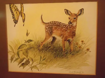 R.J. McDONALD  SPRING  WHITE TAIL DEER FAWN FRAMED...NICE! • $29