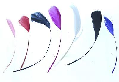 Long Fascinators Feathers Stripped Coque Millinery Hats Trimmings Coloured Craft • £3.97