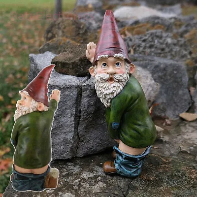 $11.53 • Buy Naughty Peeing Gnome Statue Fairy Garden Funny Dwarf Figurines Resin Yard Decor