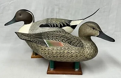 Spectacular PAIR Of 1970s Pintail Duck Decoys -Wm H Bill Cranmer -Beach Haven NJ • $695