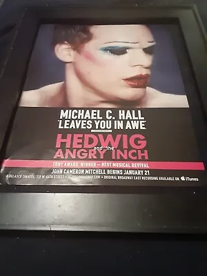 Hedwig And The Angry Inch Michael C Hall Rare Original Promo Poster Ad Framed • $55.80