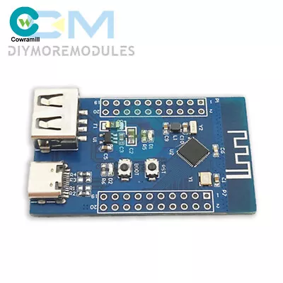 CH582M Development Board 2 Channel USB Bluetooth 5.3 2.4GHz RF Microcontroller • $9.19