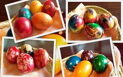 Easter Egg Dye Paint 5 Colours - Decorating Craft Eggs - UK Stock 1st Class Post • £3.75