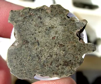 4.89 Grams 30x25x2mm Slice Amgala 001 Martian Shergottite Mars Meteorite COA • $299.99