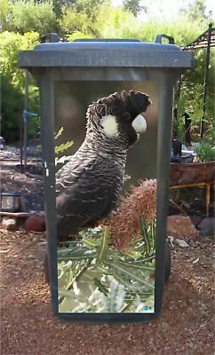 Carnaby Cockatoo With Banksia Wheelie Bin Sticker • $45