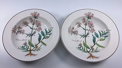 Villeroy & Boch Botanica Set Of 2  Rimmed Soup Bowls 8 5/8  Valeriana W/ Roots • $49.99