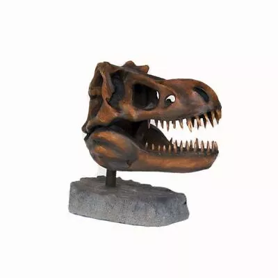 T-Rex Dinosaur Skull Head Life Size Resin Statue Prehistoric Jurassic Display • $573.85