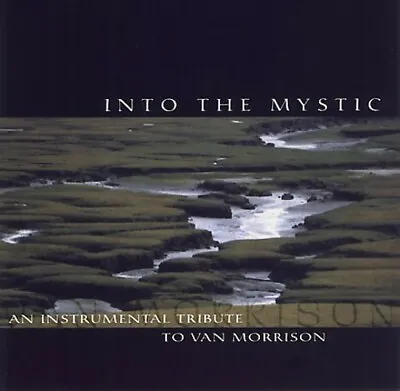 Into The Mystic An Instrumental Tribute To Van Morrison By Various Artists (CD • $7.50