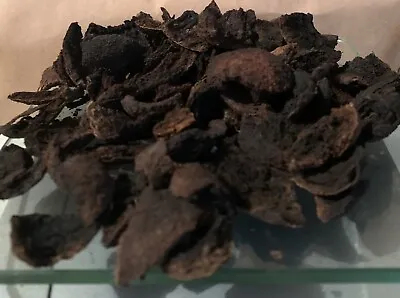 Black Walnut CHOPPED Hull Herbal 2oz Juglans Nigra Harvest Dried & Packed U.S.A. • $4.99