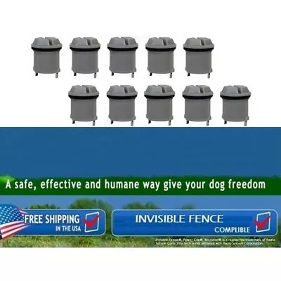 Replacement Battery For Invisible Fence Dog Collar R21/R22/R51/Microlite X10 Pcs • $49.99