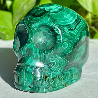 1.62LB Natural Malachite Quartz Crystal Skull Carved Stone Skeleton Ghost Head H • $0.99