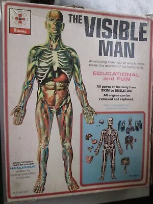 The Visible Man Model Kit Renwal 1959 White Box • $15