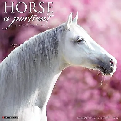 $15.95 • Buy Horse: A Portrait - 2023 Wall Calendar - Brand New - 26366