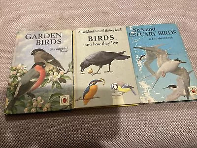 Ladybird Vintage Books  Garden Birds Sea And Estuary Birds & Birds 536 1967 1966 • £5.70