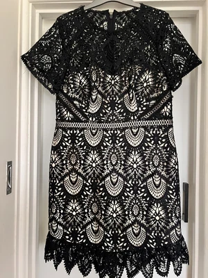 $29 • Buy Forever New Navy Lace Dress