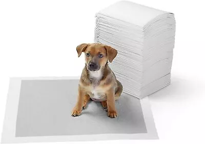 £6.95 • Buy White Large Dog Puppy 60 X 45cm Training Wee Wee Pads Pad Floor Toilet Mats