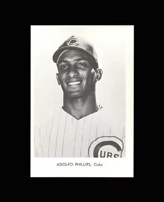 Adolfo Phillips 1966 Chicago Cubs Team Issue Picture Pack Photo RARE - Gem Mint • $0.79