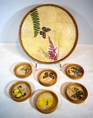 Vintage 1970s Bamboo & Wicker Butterfly Theme Serving Tray W/6 Matching Coasters • $29.99