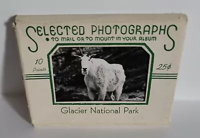 10 Glacier National Park And Mountains Montana Souvenir Snapshot Photos • $18