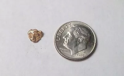Natural Placer Gold Nugget .24 Grams Alaska Gold Low Starting Bid • $18.50