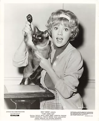 That Darn Cat 1965 Movie Photo 8x10 Hayley Mills Press Portrait  *P102b • $20.83