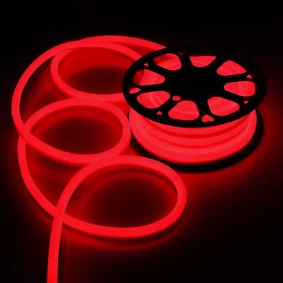 110V Neon LED Strip Light 2835 120LED/M Flex Rope Lights DIY Sign Decor+US Plug • $319.99