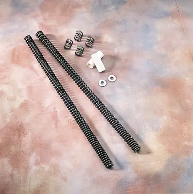 Progressive Front Fork Lowering Kit 1in 41mm Harley Road King Custom 06-07 • $136.75