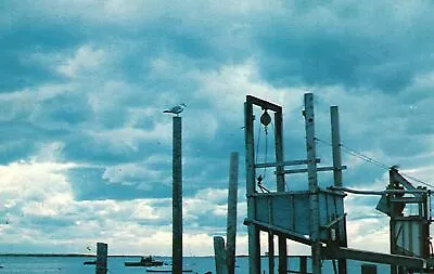 Postcard Old Fish Pier Off Bridge St. Chatham Cape Cod Massachusetts Lazarus Pub • $5.50