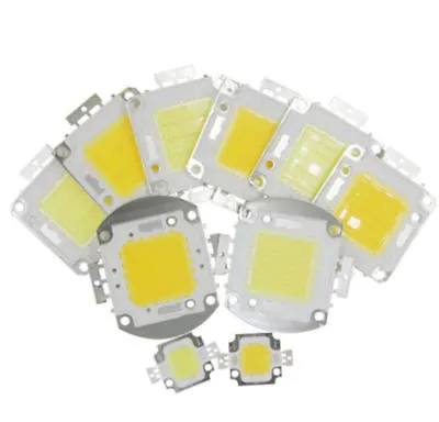 LED Chip Bulb COB Lamp Light High Power 10W 20W 30W 50W 70W 100W DIY SMD 12V 36V • $0.99