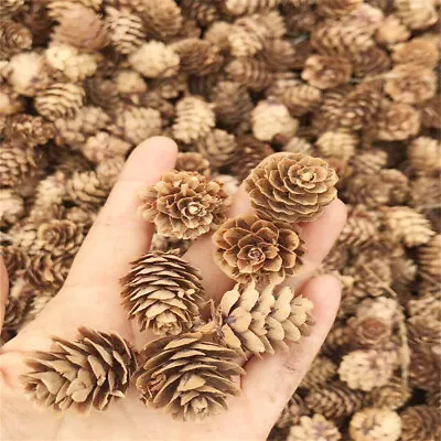 20/50/100Pcs Christmas Pine Cones XMAS Tree Hanging Ornament Xmas Decorations AU • $10.86