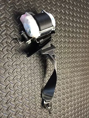 2015-2017 Ford Mustang GT REAR LEFT DRIVER Seatbelt Seat Belt OEM #9 7183 • $49.99