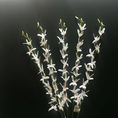 5 Mini Orchid Stems Faux/silk White/pink H65cm • £2.99