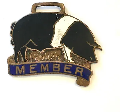 Vtg Antique Enamel Members Sign Watch Fob Hog Pig Pork Peoria IL Poland China • $125