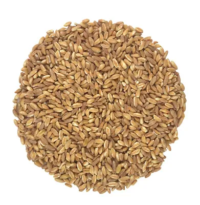 Organic Italian Pearled Farro - Raw Non-GMO Vegan Bulk Protein Fiber Rich • $23.99